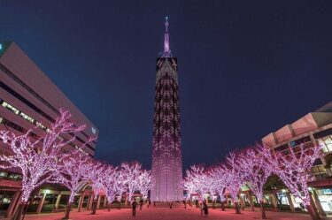 【Fukuoka Tower】Sightseeing spots in Fukuoka