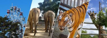 【Kumamoto City Zoological and Botanical Gardens】Sightseeing spots in Kumamoto